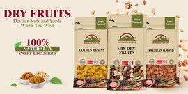 Best Dry Fruits for Health Benefits In USA 2023-24